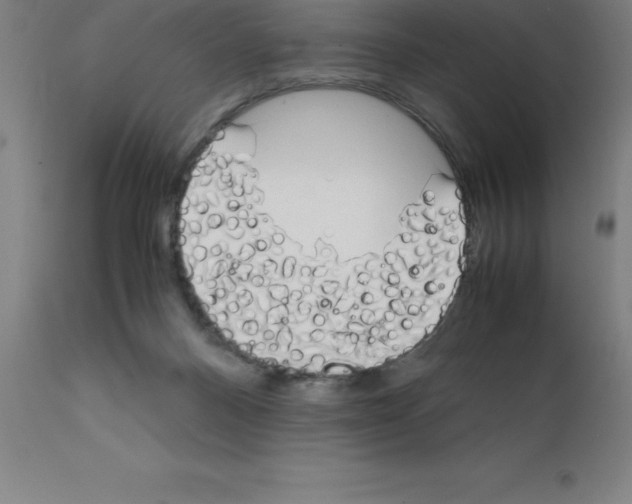X0000111880120200909031849