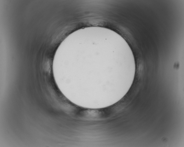 X0000111880121200909031849