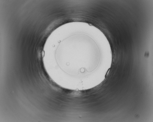 X0000111880124200909031849