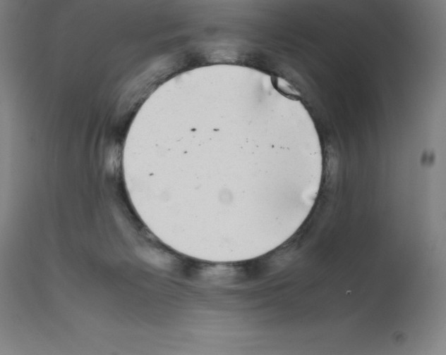 X0000111880125200909031849