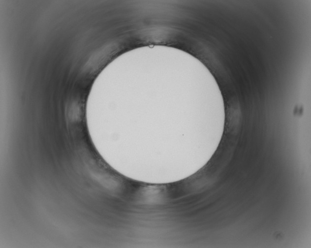 X0000111880126200909031849