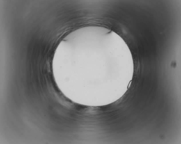 X0000111880128200909031849