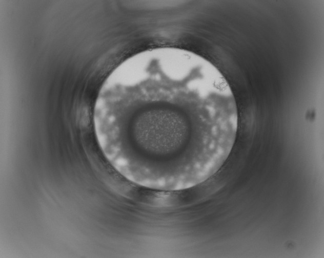 X0000111880130200909031849