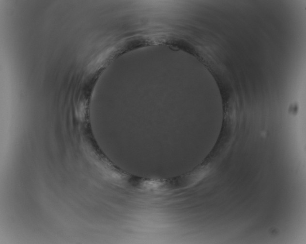 X0000111880139200909031849