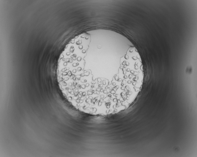 X0000111880140200909031849