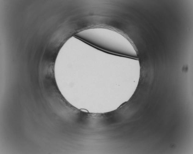 X0000111880141200909031849
