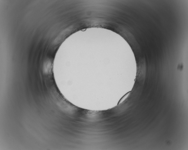 X0000111880142200909031849