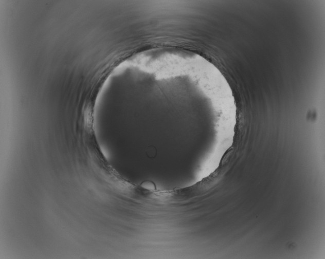 X0000111880143200909031849