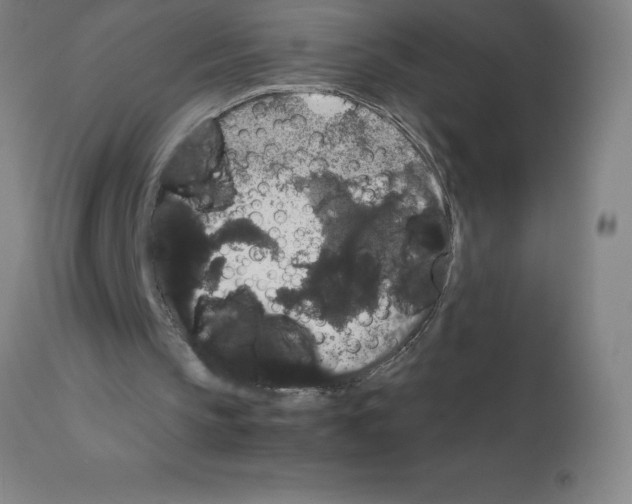 X0000111880145200909031848