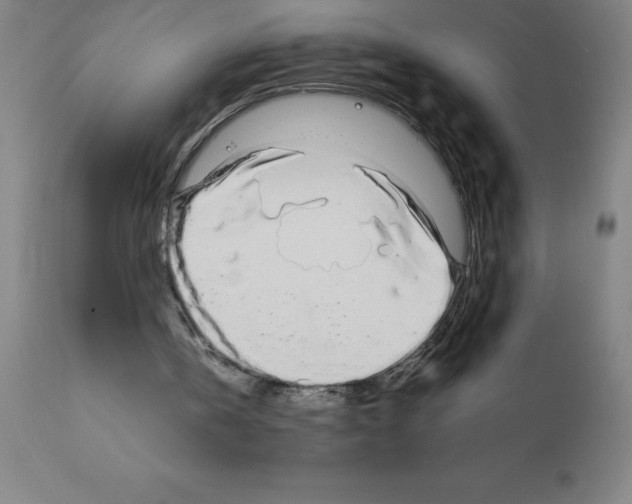 X0000111880146200909031848