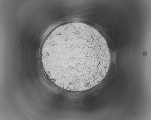 X0000111880147200909031848