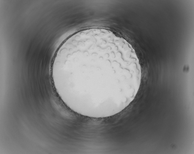 X0000111880148200909031848