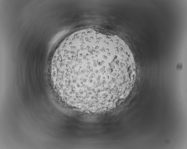 X0000111880149200909031848