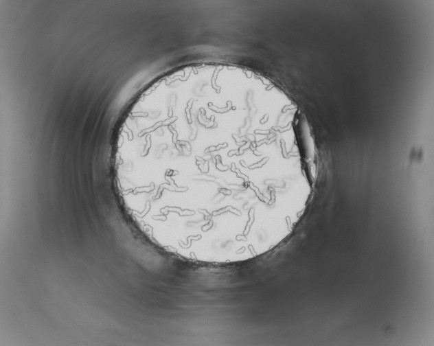 X0000111880150200909031848