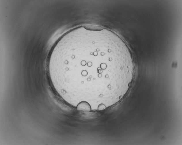 X0000111880151200909031848