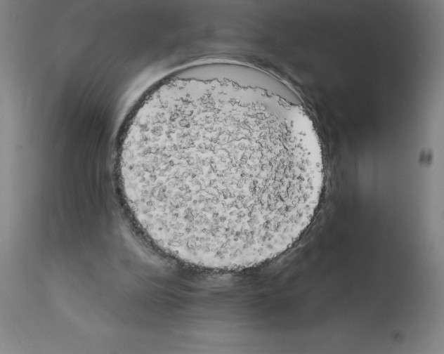 X0000111880152200909031848