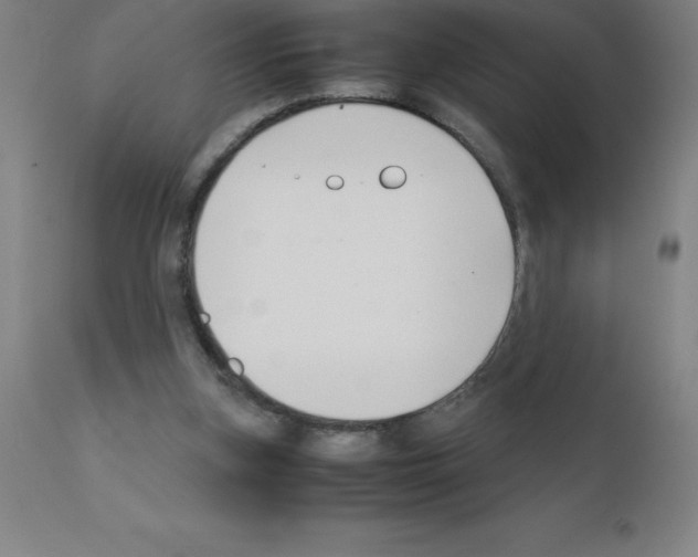 X0000111880155200909031848