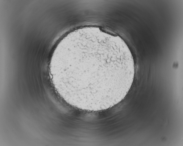 X0000111880156200909031848