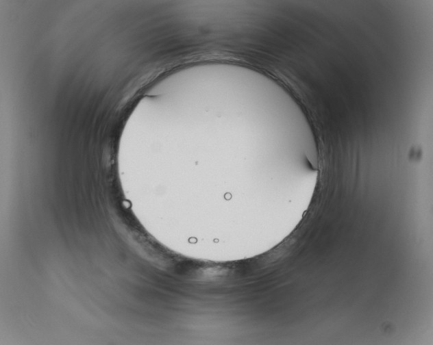 X0000111880158200909031848
