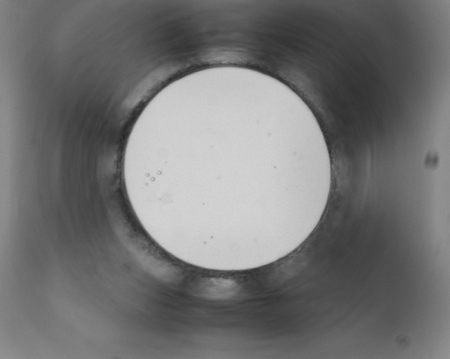 X0000111880159200909031848