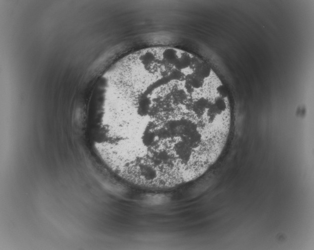 X0000111880161200909031849