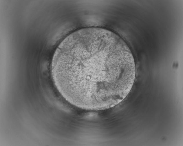 X0000111880162200909031849