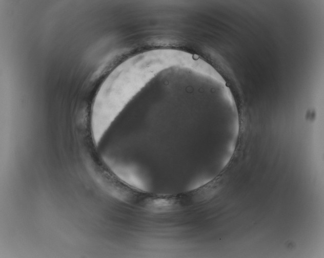 X0000111880163200909031849