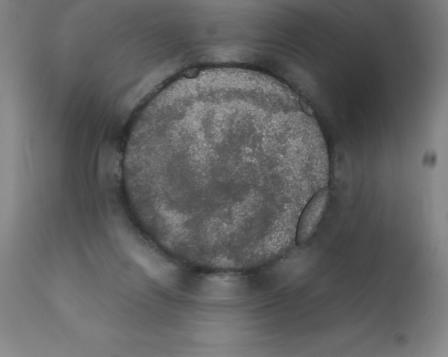 X0000111880164200909031849