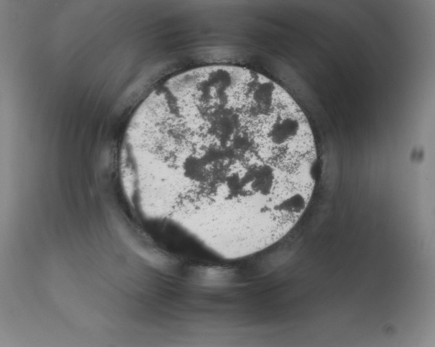 X0000111880165200909031849