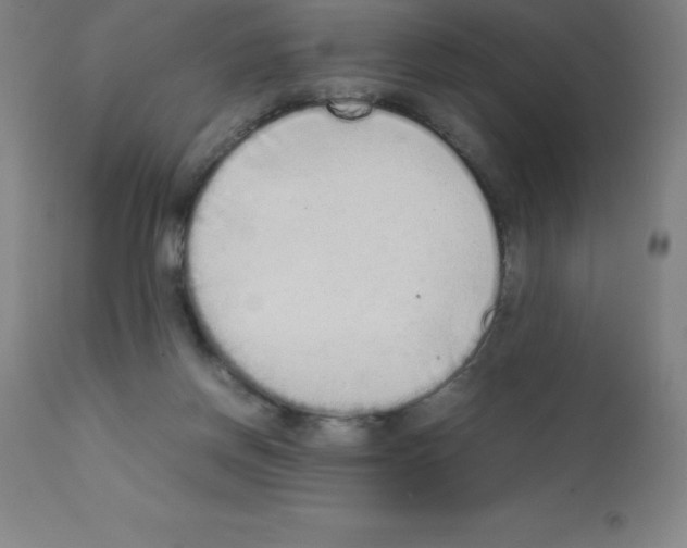 X0000111880166200909031849
