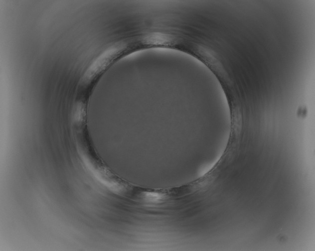 X0000111880167200909031849