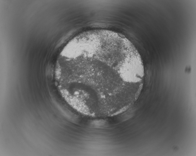 X0000111880168200909031849