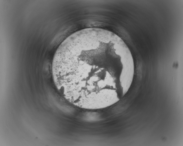 X0000111880169200909031849