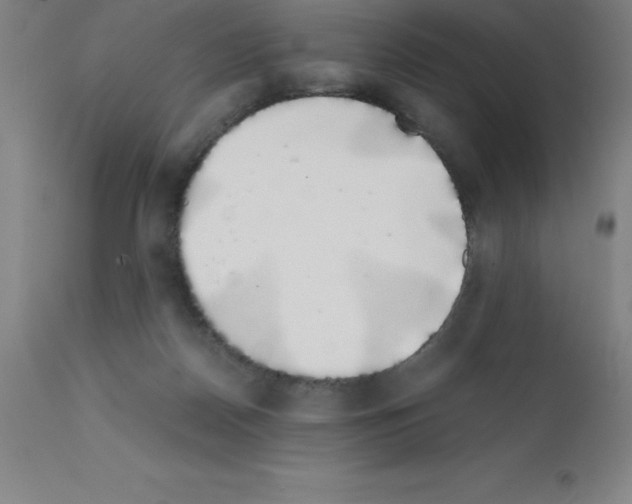 X0000111880170200909031849