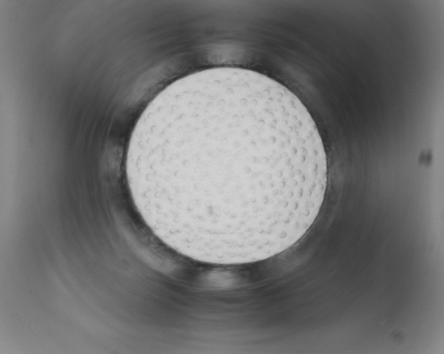 X0000111880171200909031849