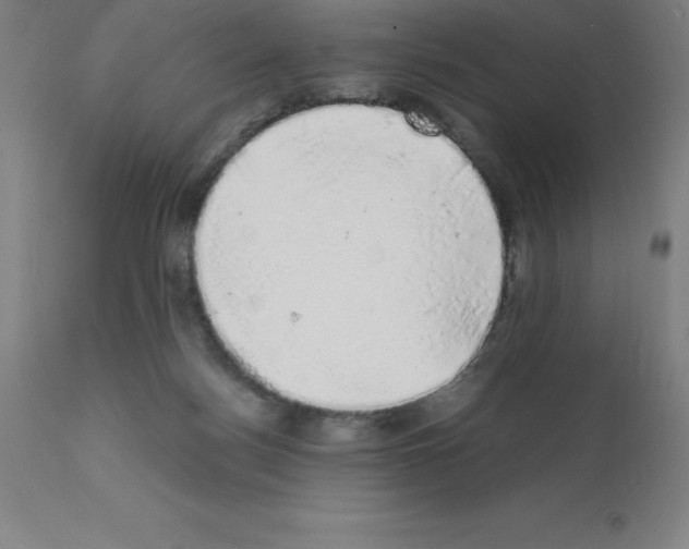 X0000111880172200909031849