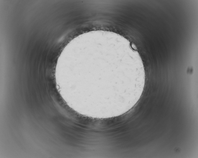 X0000111880174200909031849