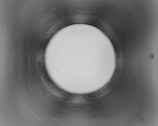 X0000111880175200909031849