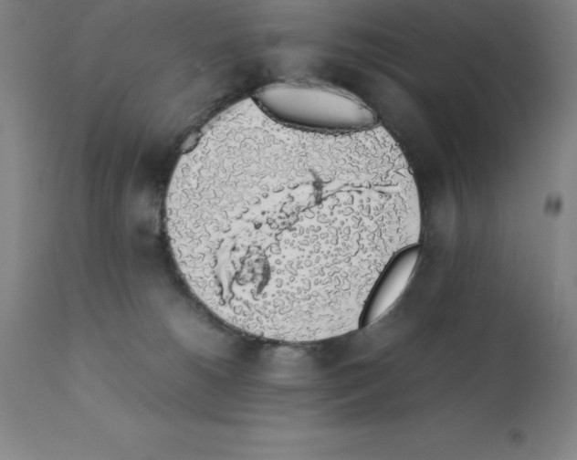 X0000111880180200909031849