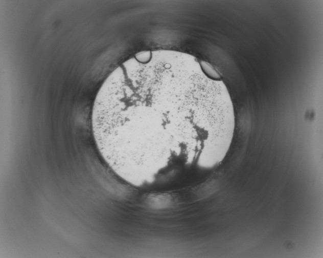 X0000111880181200909031849