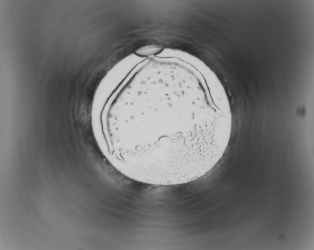 X0000111880186200909031849
