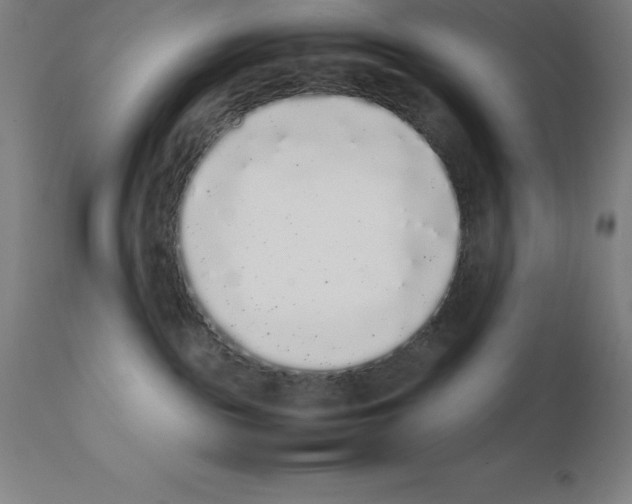 X0000111880189200909031849