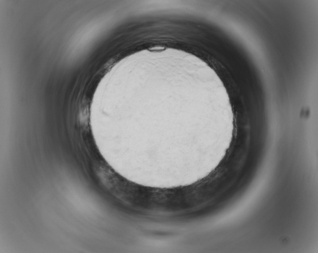 X0000111880190200909031849