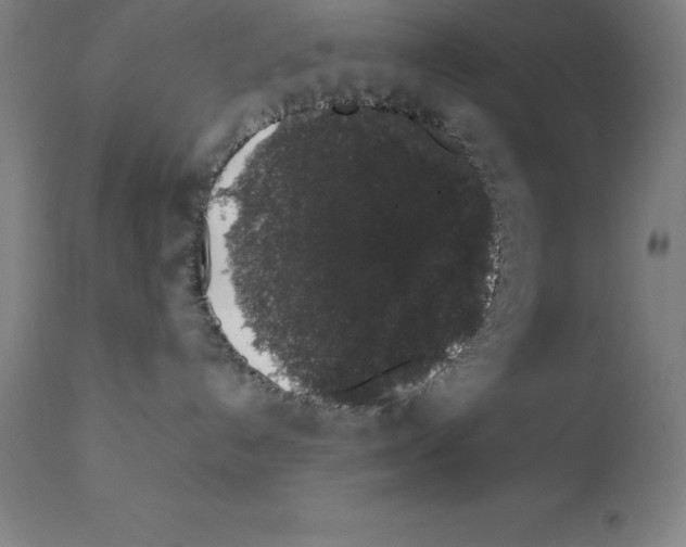 X0000111880192200909031849