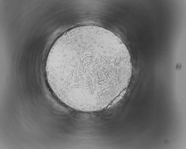 X0000111880193200909031848