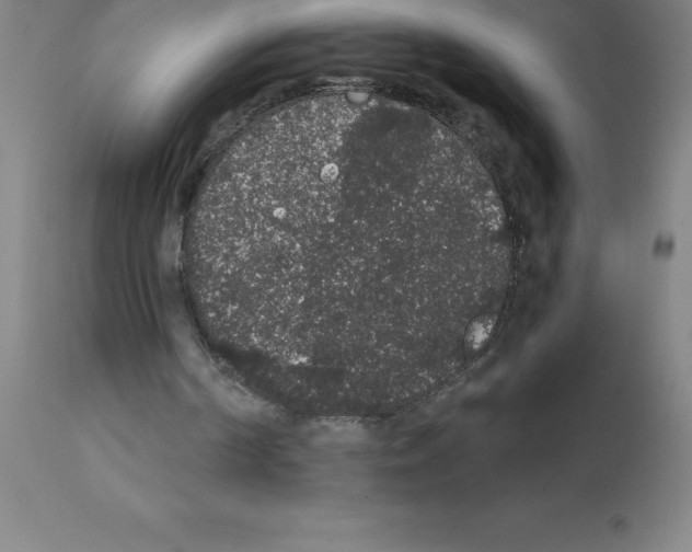 X0000111880194200909031848