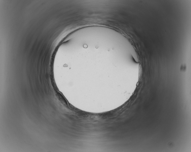 X0000111880195200909031848