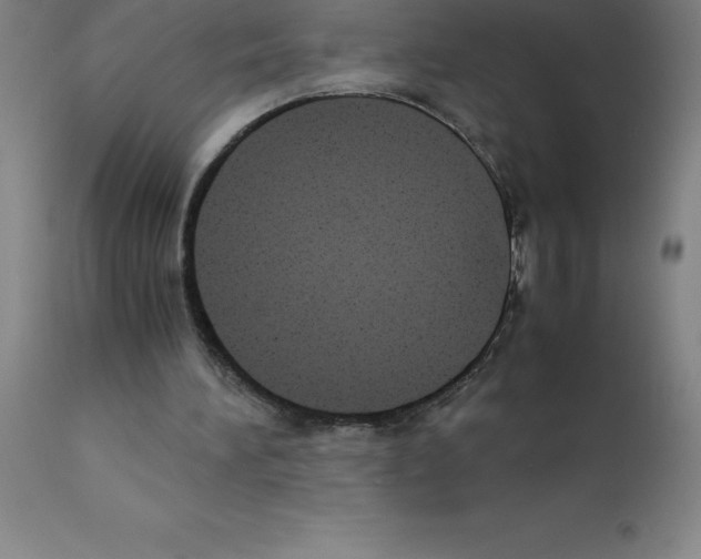 X0000111880196200909031848