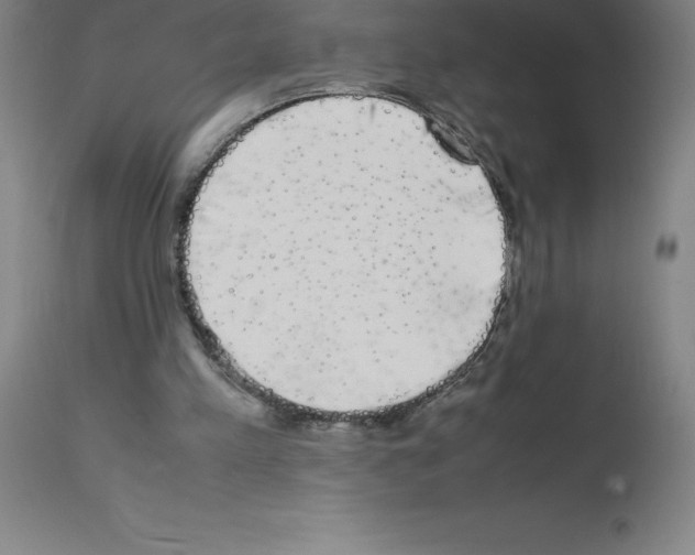 X0000111880197200909031848