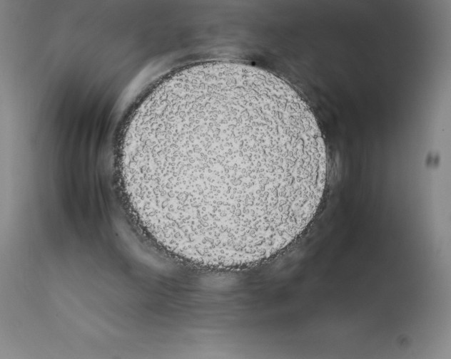 X0000111880198200909031848